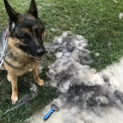 MascotaClean™ | Cepillo Deslanador para Perros y Gatos